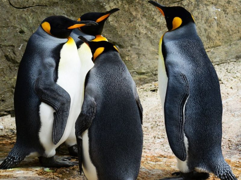 Liburan ke Bali Menjadi Mudah & Murah