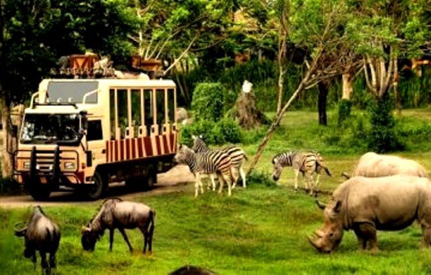 PAKET TOUR KELUARGA, PRIVATE – 3 HARI / 2 MALAM – BALI SAFARI & MARINE PARK