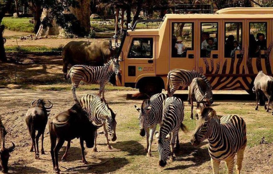 PAKET TOUR KELUARGA, PRIVATE 4 HARI / 3 MALAM – BALI SAFARI & MARINE PARK