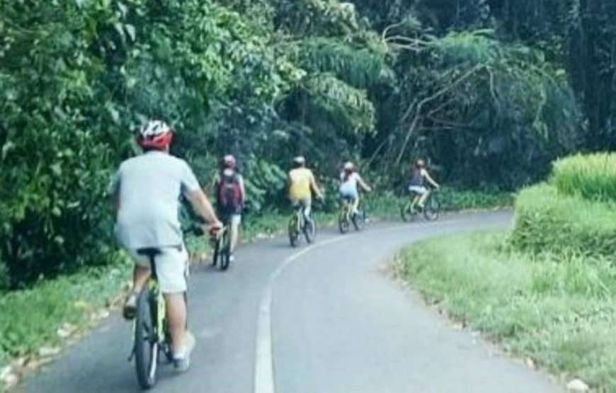 PRIVATE TOUR BALI – 3 HARI / 2MALAM + VILLAGE CYCLING