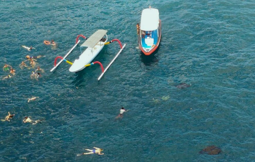 Paket Tour Nusa Penida 1 Hari + Snorkeling